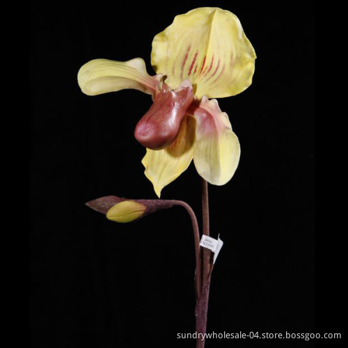 PU Insigne Flower (SP002-25S)